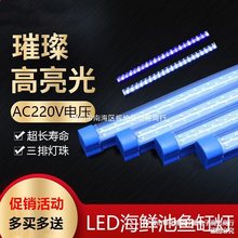 220V-r~LEDܷˮ{ɫ⚤PVCܵ