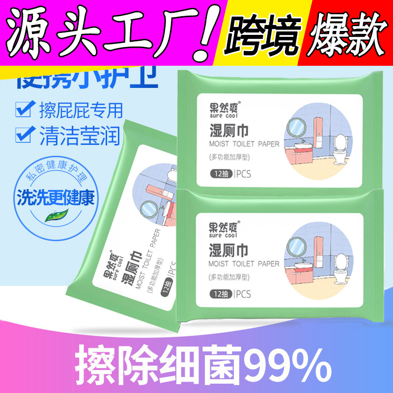 妇炎洁湿厕纸私处洁阴房事女性洁厕湿巾厕所擦屁屁如厕专用湿纸巾