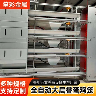立式大层叠蛋鸡笼全自动大型养殖场鸡舍养鸡蛋鸡笼场用笼具设备