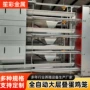 养鸡大型立式自动笼具
