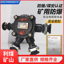 BHD2-25/380-4T�����͵͉���|�Ӿ��еV�÷�����ͨ�Ӿ���