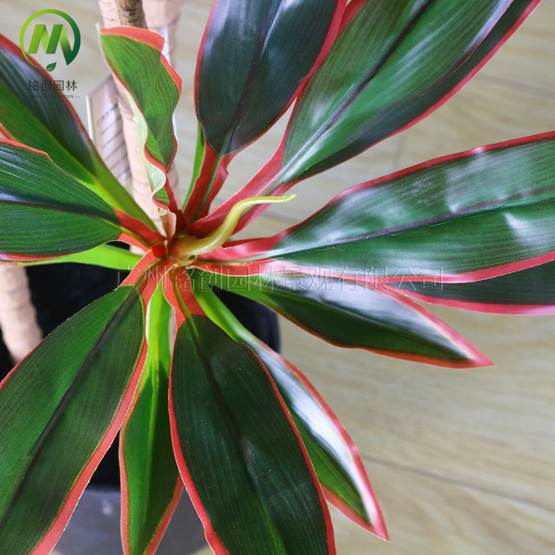 Simulación de paisaje de plantas verdes Terciopelo Planta falsa de hierro brasileño de alta gama Planta en maceta Simulación de suelo interior Planta verde con maceta