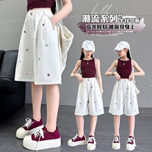 &DM25865���c������ѝ �ļ�ţ��ѝ2026�¿��OӋ����������ѝ��