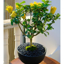 ���������^�p���ܾGֲ������辰�҃������̨ͥԺֲ���ʳ������