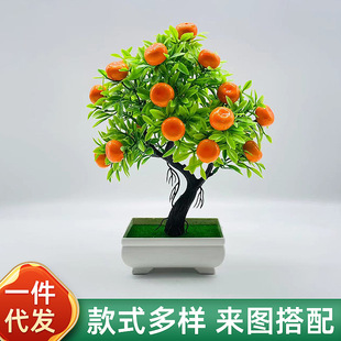 �҃��b��������ֲ������23�w�ٻ�ˮ���辰����Gֲ���^С�[��