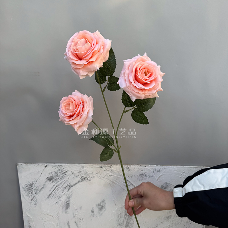 Real object without green leaves 3-head lover rose dark flesh pink