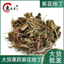 紫花地丁草 别名箭头犁头草铧头紫地丁磨地丁草1kg 初级农产品