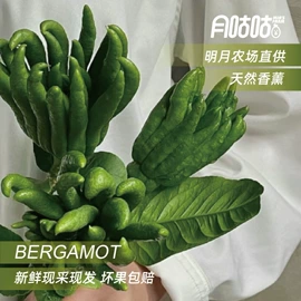 鸡蛋;其他水果;鸡肉类