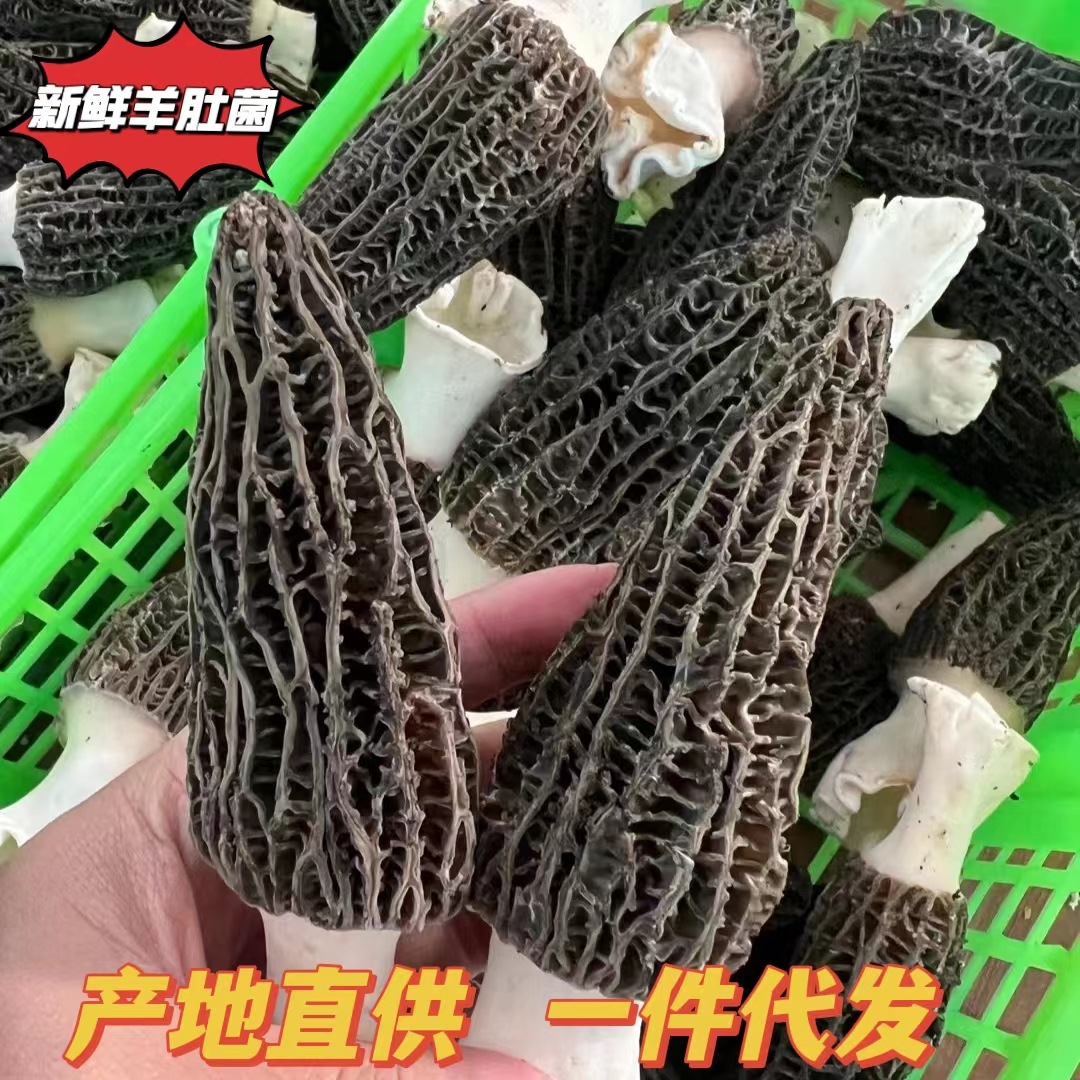 5f120475b14e4c473b776c4679ee97