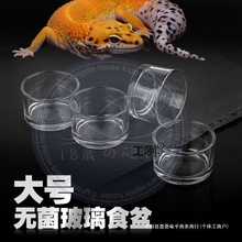 ���x��̖����ˮ���Ʒ�|�o��ʳ�����������،m��֩��ϐ�ӻ�ʳˮ��