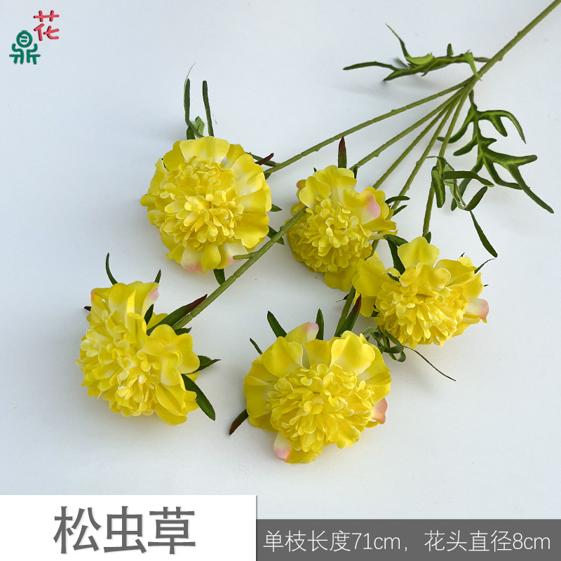 Nấm Đông trùng hạ thảo JLK màu vàng