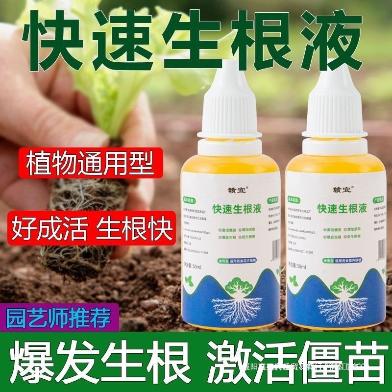 Rooting powder