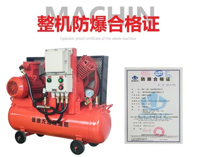 Screw explosion-proof air compressor Hava kompressorları