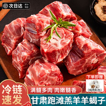 羊蝎子新鲜带肉原切羊脊骨甘肃滩羊火锅调底料加热即食官方旗舰店