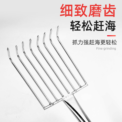 Stainless steel sea rake, clam rake, beach digging shell, seafood razor clam, sea tool, oyster digging shovel