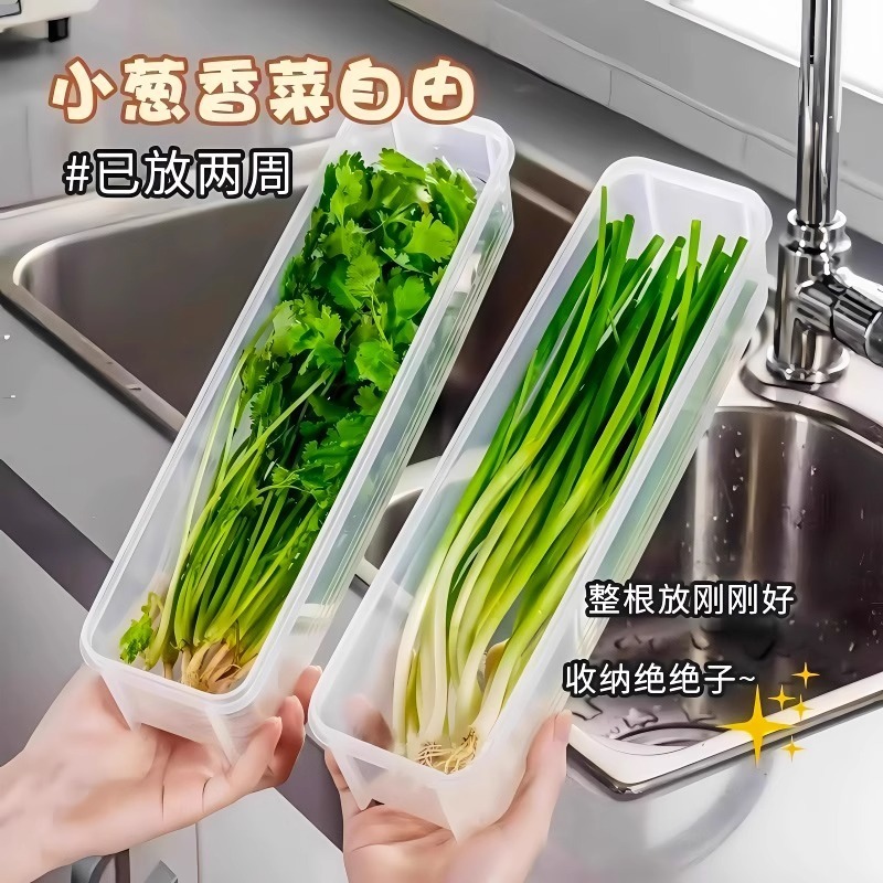 食品グレードのネギ、コリアンダー、コリアンダー、生姜、ニンニク、乾麺、卵保存および整理ボックス、冷蔵庫専用|undefined