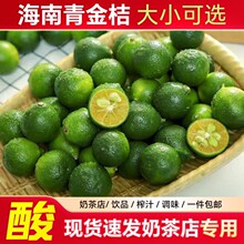 新鲜海南小金桔5斤青金桔小柠檬香水柠檬应季新鲜水果奶茶店用