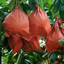 ��ˮ���x���B�������״��p��#����ˮ��â�����������t���֬gϪ