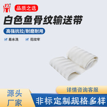 带导条白色鱼骨纹输送带防跑偏传送带包装分拣机械设备皮带实体