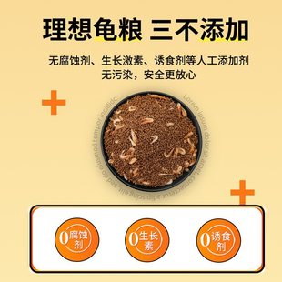 Besson Bessn Turtle Food Turtle Feed Brazilian Turtle Snapping Turtle Water Turtle Tortoise Small Turtle Hatchling Food Fish Dried Shrimp