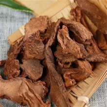 ișăɹҰiƬƬݾݲˮҜ]