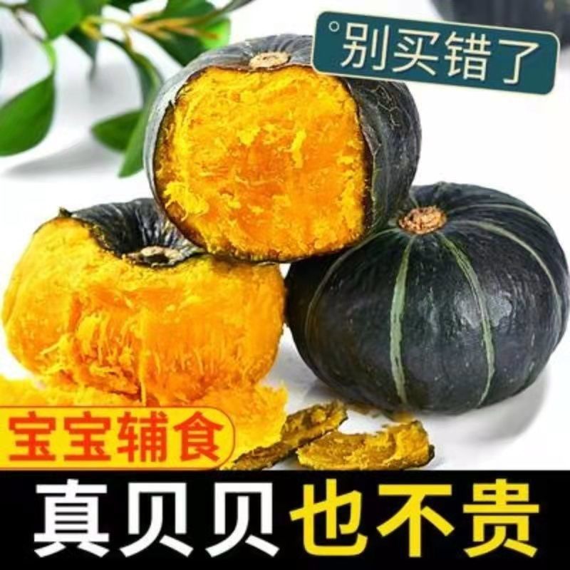 貝貝南瓜板栗味迷妳小南瓜粉糯香甜軟孕婦寶寶輔食山東老壹件代發