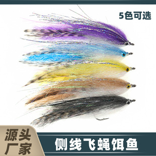 �����wLF306�Ⱦ��wω�D�~ ���z�~·���M�D�wω�Dë�h �w�·���D
