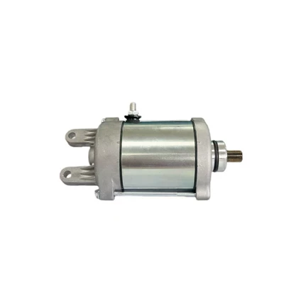 Motor Kawasaki G300 – Starter and accessories