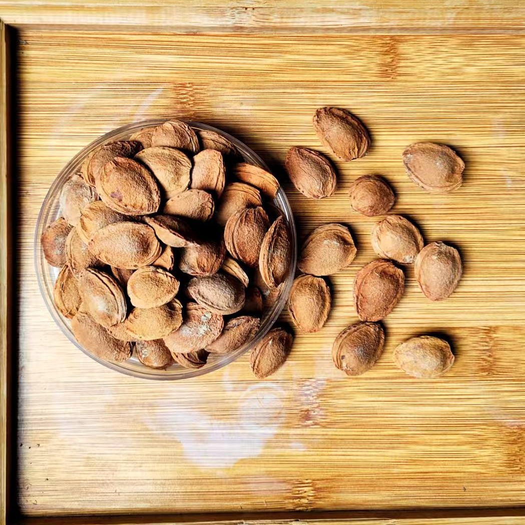 精品大颗粒杏核秦巴山区野外生长产地一手货源饱满无发霉无蛀虫