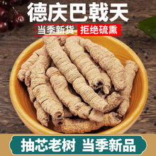 ���ڵc�����ș��Ұ������ţ��������ɐ���i��ݾ�ˮ��ʿ�Ҝ���