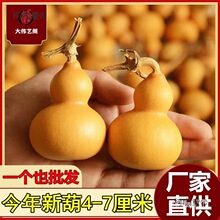 �ֶ�С�������^��Ȼ�غ��J�����������J������ؔ�����С��������