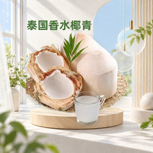 ̩����ˮҬ�� һ�����l��Ҭ������Ҭ֭Ҭ���������l�������rˮ��