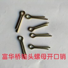 ���A���_���N�S�^��ĸ���N�����܇���