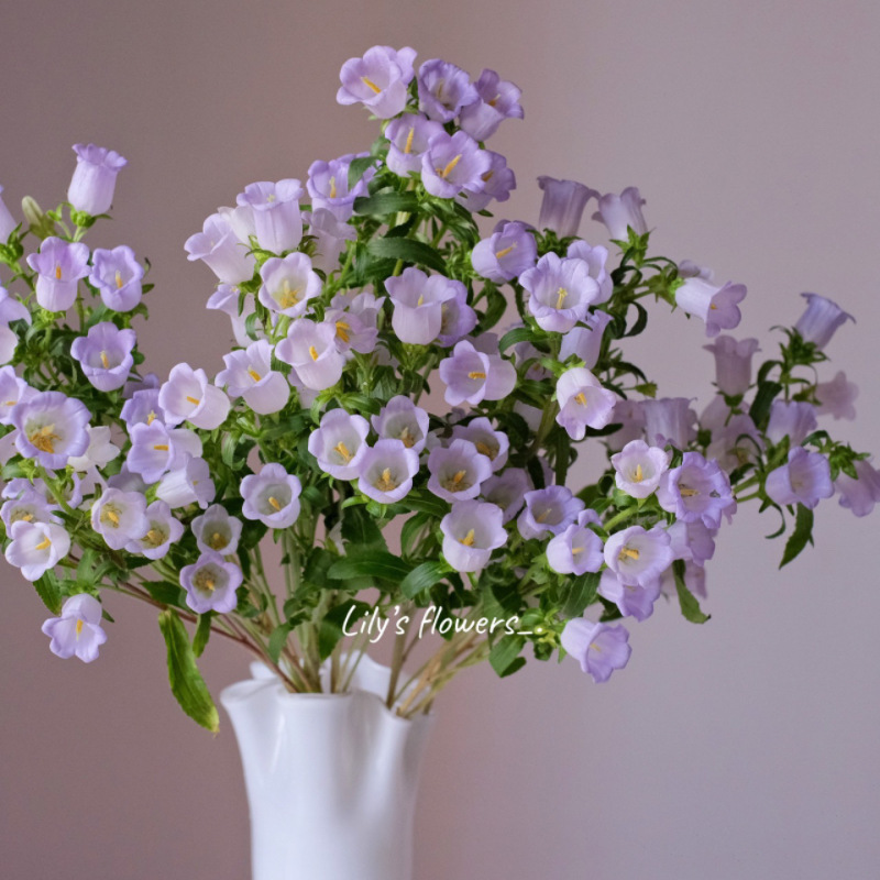 玫瑰花鲜花云南昆明基地批直发百合向日葵红豆家用鲜切水养插|undefined