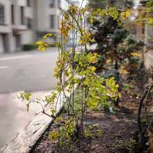 ?Fɏټܻ֧ٱ¼֧ΗŲ@֧