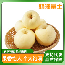 山东烟台黄金奶油富士苹果10斤整箱新鲜代发现摘现发脆甜当季苹果
