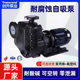 耐酸碱耐腐蚀自吸泵 CFRPP卧式化工防腐耐空转自吸式氟塑料磁力泵