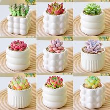 �X������ֲ���҃�С���Դ��w���B��Ⱥ�����^�̨�Gֲ���܎����ȫ