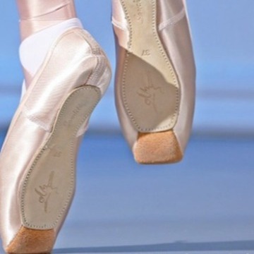 Satin Pointe Shoes Hair Low Cat Claw Shoes Ballet Dance Shoes Test Grade Hard Pink Adult Children Women