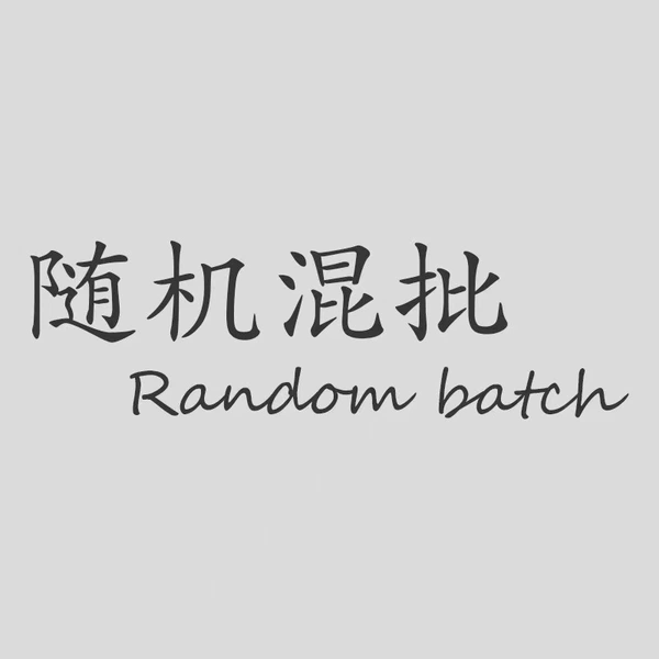 Random batch