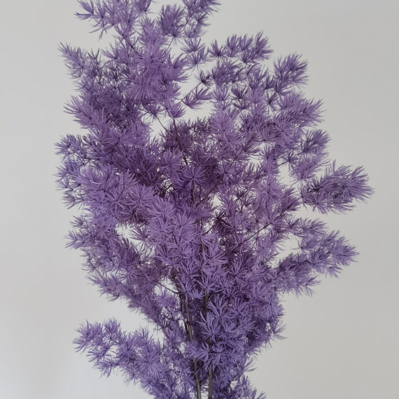 보라색(85-105g)-드라이플라워백