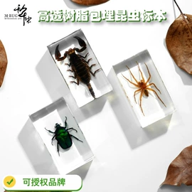 树脂工艺品;标本;工艺礼品项目