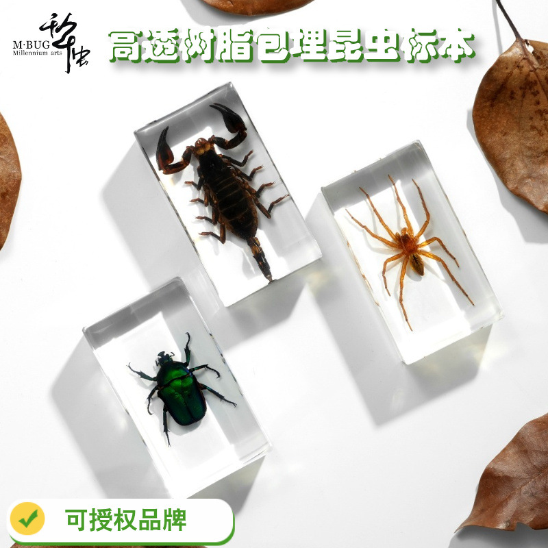 50+跨境透明树脂模型昆虫标本独角仙蜘蛛蝎子金龟胡蜂创意书镇
