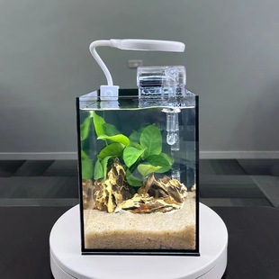 Landscaping Desktop Glass Fish Tank Office Desk Miniature Ecological Tank Betta Fish Tank Small Fish Tank No Need to Change Water Ultra-White Glass