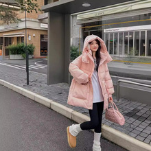 ��q��Ů���L���2024�¿��n��r���@��С���ӌ����߶˰����q��