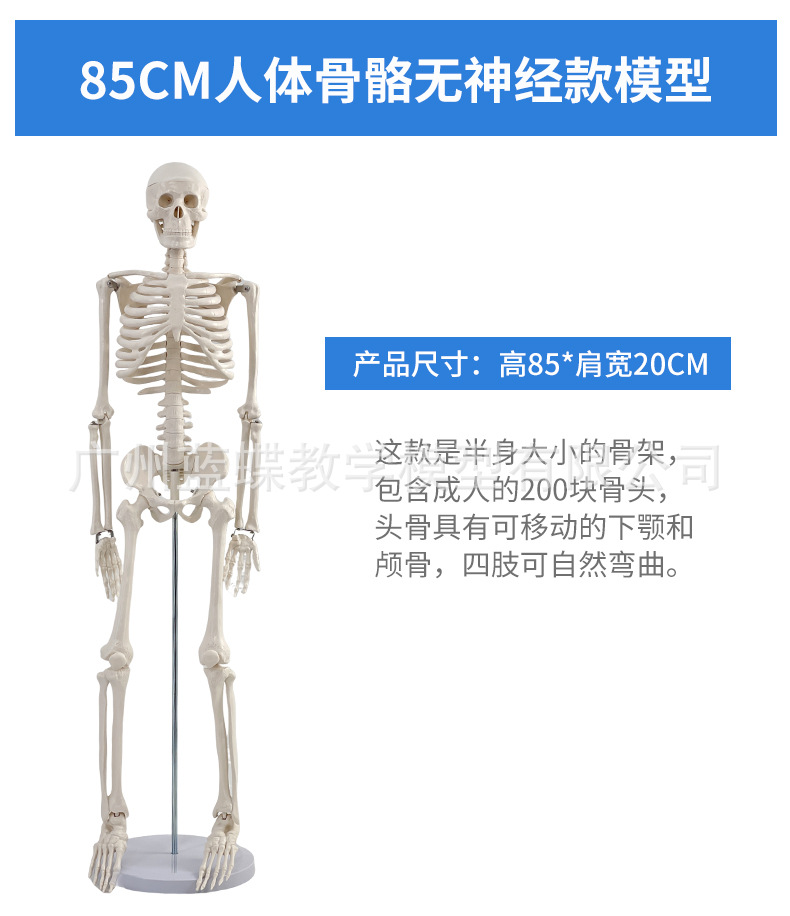 详情1 (7)