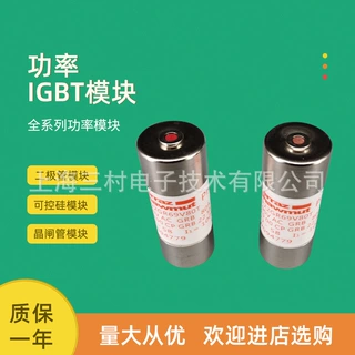 全新熔断器保险丝全新FR14GG69V16 A211554 FR14GG69V20 Z212588