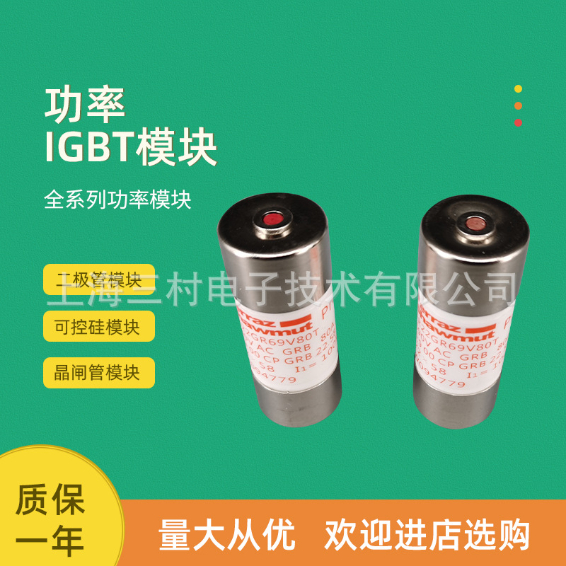 全新熔断器保险丝FR10GR69V1.5/P1014566  FR10GR69V2/Q1014567