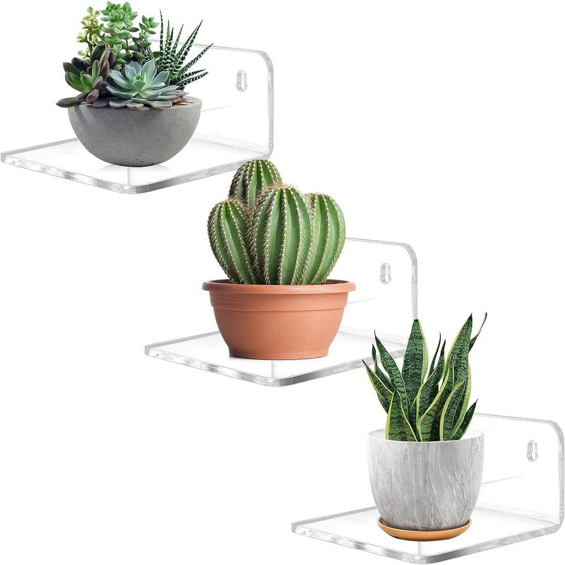 Acrylic Small Bookshelf Mini Shelf for Popular Figures Plants Photos Modern Wall Office Bedroom Living Room Acrylic Small Bookshelf Mini Shelf for Popular Figures Plants Photos Modern Wall Office Bedroom Living Room