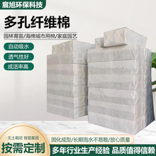 ����w�S�޺��d���н��O���B����w�S����ˮ̎��̼�w�Sģ�K����